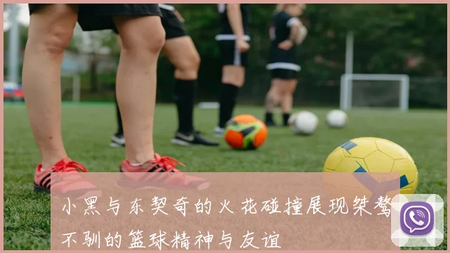 小黑与东契奇的火花碰撞展现桀骜不驯的篮球精神与友谊
