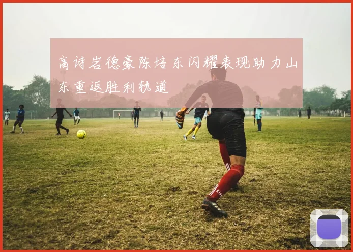 高诗岩德豪陈培东闪耀表现助力山东重返胜利轨道