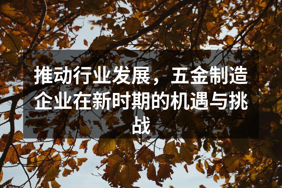 推动行业发展,五金制造企业在新时期的机遇与挑战