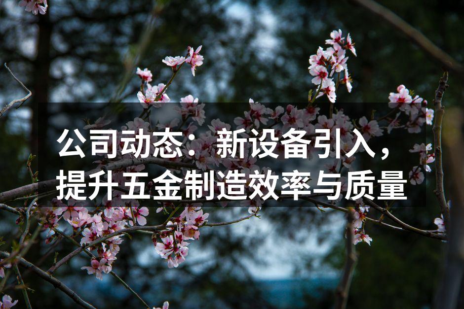 公司动态:新设备引入,提升五金制造效率与质量